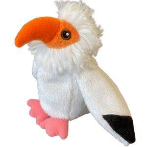 Wild Beans Egyptian Vulture